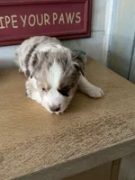 processed/2cb83213-6519-45c5-aa67-be5ca5a92d02/listing/d94024e2-a440-4624-aa25-70746eaac201/4a3b111d-9968-4fc2-a902-7826556d653e