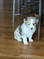 processed/2cb83213-6519-45c5-aa67-be5ca5a92d02/listing/d94024e2-a440-4624-aa25-70746eaac201/63a950bb-727c-4d85-b149-fce04b9c7a65