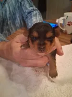 processed/2cc13e44-08e7-47bb-b6f7-921768ff0e04/listing/524a0e54-0e58-4048-87f3-e3f041f7c3c1/1df97062-eb41-40be-9217-27a7e291d33c