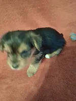 processed/2cc13e44-08e7-47bb-b6f7-921768ff0e04/listing/524a0e54-0e58-4048-87f3-e3f041f7c3c1/921f6c1e-f6c2-4753-a204-78449a181819