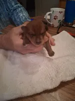 processed/2cc13e44-08e7-47bb-b6f7-921768ff0e04/listing/524a0e54-0e58-4048-87f3-e3f041f7c3c1/d6c9fcf4-88cf-48fa-89b3-15ba7d269684