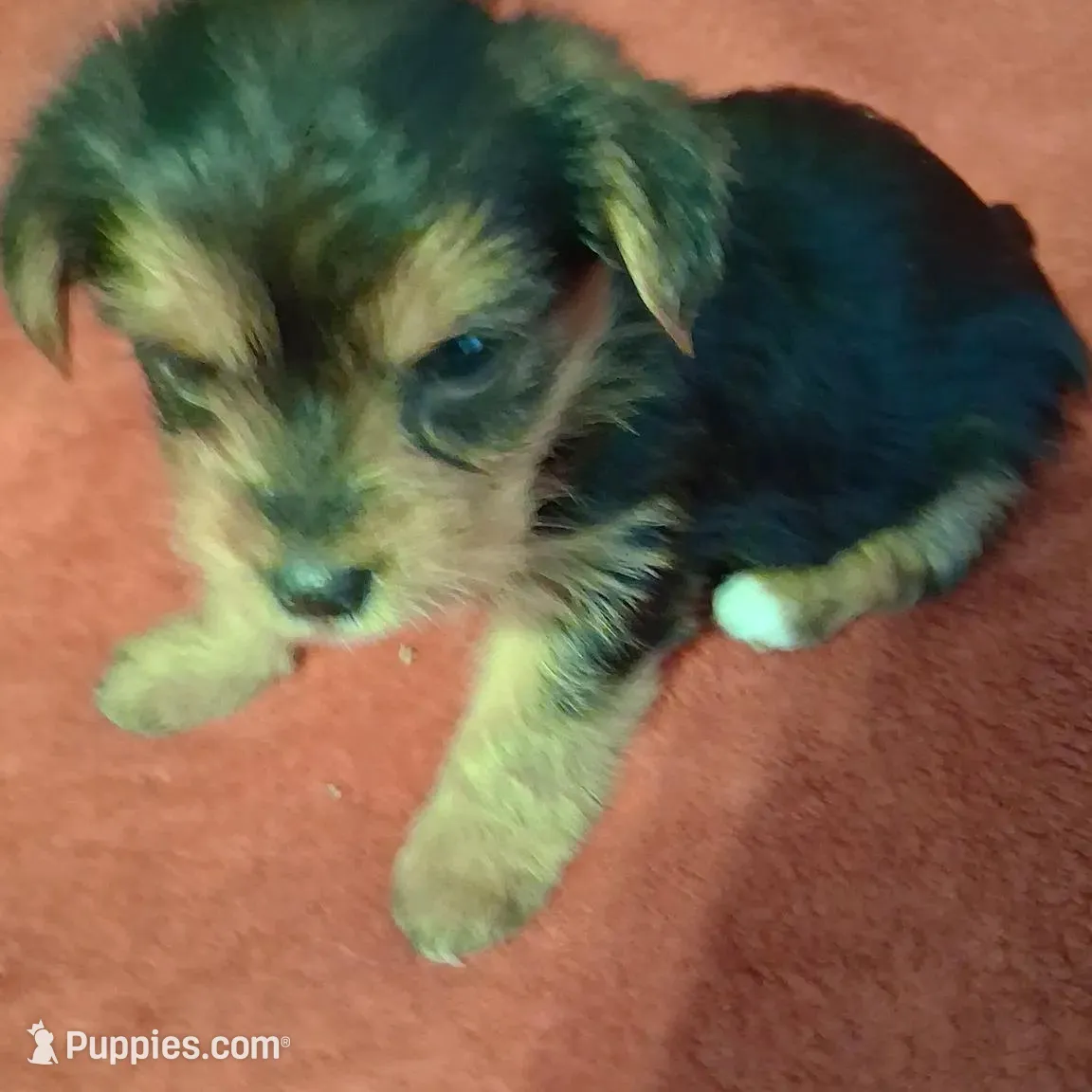 processed/2cc13e44-08e7-47bb-b6f7-921768ff0e04/listing/c8243bd3-a7da-4d12-a5d2-348dfcf1affc/524a0e54-0e58-4048-87f3-e3f041f7c3c1/2705f0b1-5a8e-4f09-beb4-8cbed8ec92be