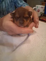 processed/2cc13e44-08e7-47bb-b6f7-921768ff0e04/listing/c8243bd3-a7da-4d12-a5d2-348dfcf1affc/662dd01b-2bc4-4469-9d5a-eb5a1eb9343c