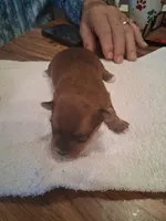 processed/2cc13e44-08e7-47bb-b6f7-921768ff0e04/listing/c8243bd3-a7da-4d12-a5d2-348dfcf1affc/86abf016-b6b5-4e76-a52e-35ebb18b8e49