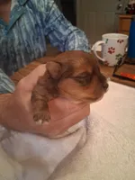 processed/2cc13e44-08e7-47bb-b6f7-921768ff0e04/listing/c8243bd3-a7da-4d12-a5d2-348dfcf1affc/91bde7d2-7c2b-455e-9a17-0964003d5301