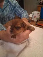 processed/2cc13e44-08e7-47bb-b6f7-921768ff0e04/listing/c8243bd3-a7da-4d12-a5d2-348dfcf1affc/aede7497-02bb-4af4-81a0-7c88d582742d