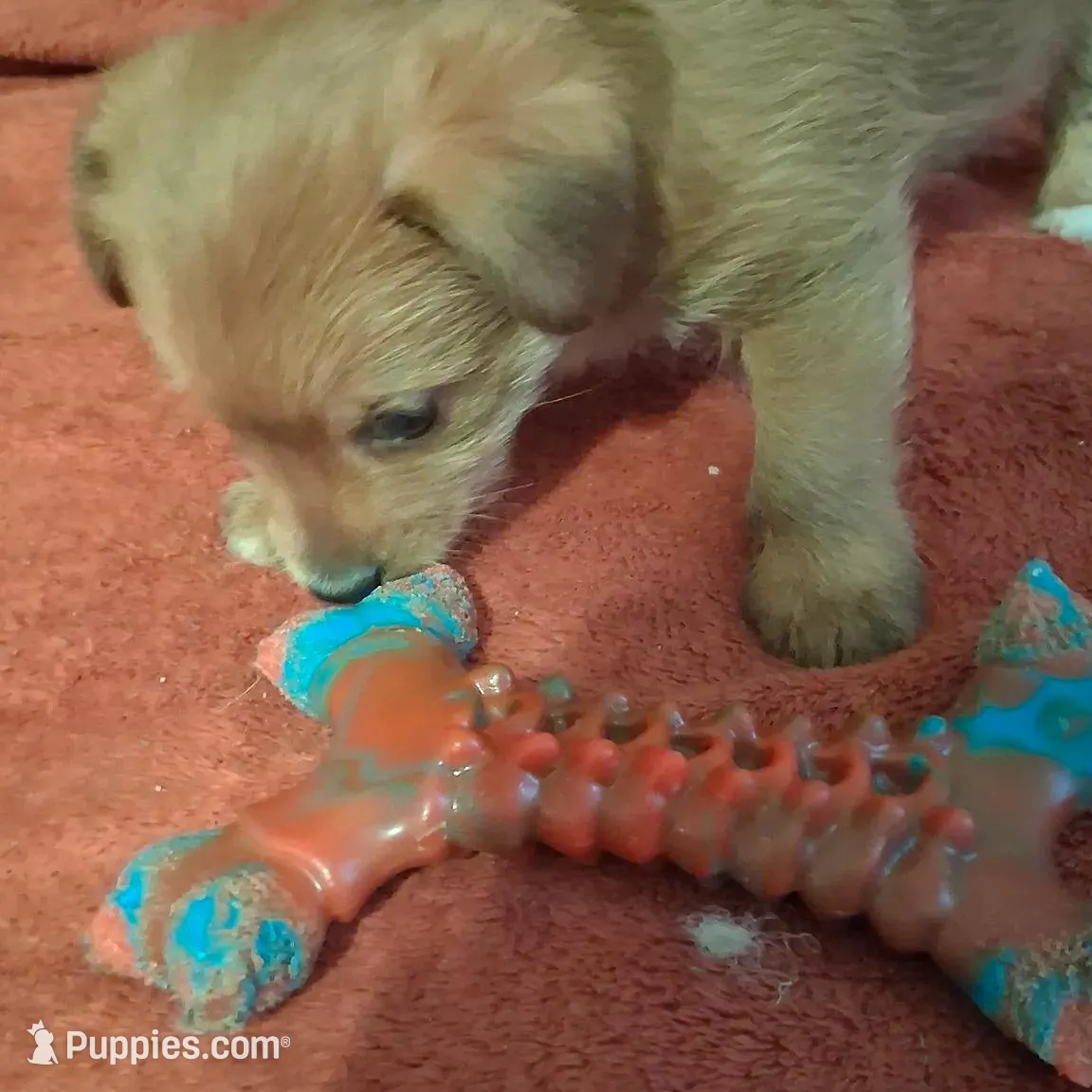 processed/2cc13e44-08e7-47bb-b6f7-921768ff0e04/listing/c8243bd3-a7da-4d12-a5d2-348dfcf1affc/c025f1bd-1e19-4a6e-9268-84e61a50154c