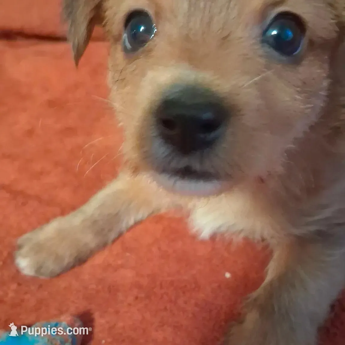 processed/2cc13e44-08e7-47bb-b6f7-921768ff0e04/listing/c8243bd3-a7da-4d12-a5d2-348dfcf1affc/c41325de-bd8b-46fc-9814-0490469a4f33