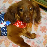 processed/2cc3434e-b45a-4072-ab39-7a408f1cf260/facility/0088cd21-fc86-4010-aa95-f25e91b2fd62