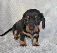 processed/2cc3434e-b45a-4072-ab39-7a408f1cf260/listing/d3cbb9dd-c703-4f0d-b620-cb85c2db1b05/0b02b410-1b85-4583-9f5d-6f0bbf1163bd