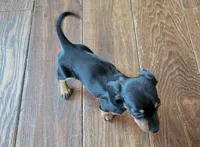 processed/2cc3434e-b45a-4072-ab39-7a408f1cf260/listing/d3cbb9dd-c703-4f0d-b620-cb85c2db1b05/2b8a7bc1-36af-47bf-956a-283036e3de1f