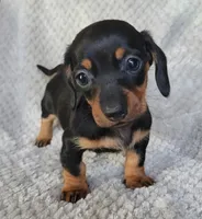 processed/2cc3434e-b45a-4072-ab39-7a408f1cf260/listing/d3cbb9dd-c703-4f0d-b620-cb85c2db1b05/3f74d657-912e-47e3-93cf-a2c40d1b49a2