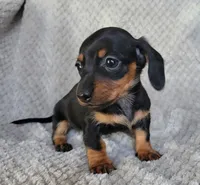 processed/2cc3434e-b45a-4072-ab39-7a408f1cf260/listing/d3cbb9dd-c703-4f0d-b620-cb85c2db1b05/40b13eee-0482-40f0-a9b8-b41fbcb6b659