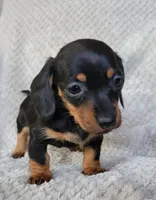 processed/2cc3434e-b45a-4072-ab39-7a408f1cf260/listing/d3cbb9dd-c703-4f0d-b620-cb85c2db1b05/4208b1df-028e-43e8-8422-09189152a355