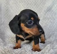 processed/2cc3434e-b45a-4072-ab39-7a408f1cf260/listing/d3cbb9dd-c703-4f0d-b620-cb85c2db1b05/ea762b09-e7fa-4a51-8b72-c9faee7f9094