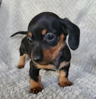 processed/2cc3434e-b45a-4072-ab39-7a408f1cf260/listing/d3cbb9dd-c703-4f0d-b620-cb85c2db1b05/f260827c-a37d-4a80-9ed7-7cd6c8649825