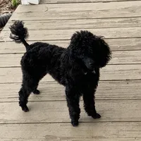 processed/2cc7014c-8d6c-4c9f-9ed2-ed4780794cfe/facility/689a0186-8a4b-49bf-9f76-8e795f472f42