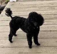 processed/2cc7014c-8d6c-4c9f-9ed2-ed4780794cfe/facility/689a0186-8a4b-49bf-9f76-8e795f472f42