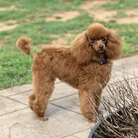 processed/2cc7014c-8d6c-4c9f-9ed2-ed4780794cfe/facility/f2c58220-441c-4a8e-a970-7ffcfb43b039