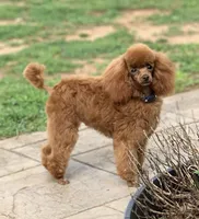 processed/2cc7014c-8d6c-4c9f-9ed2-ed4780794cfe/facility/f2c58220-441c-4a8e-a970-7ffcfb43b039