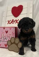 processed/2cc7014c-8d6c-4c9f-9ed2-ed4780794cfe/listing/46ac64ae-33a0-4e92-90f6-0cd1a5fd882b/34402017-f1c6-47b7-84f6-812c12b30d8c