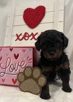 processed/2cc7014c-8d6c-4c9f-9ed2-ed4780794cfe/listing/46ac64ae-33a0-4e92-90f6-0cd1a5fd882b/9388b1ce-8fab-43af-bbfc-8273a4c5c69c