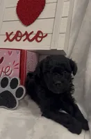 processed/2cc7014c-8d6c-4c9f-9ed2-ed4780794cfe/listing/97916bb4-cf8e-4f9a-9392-d9695f11077a/9c71ff88-f6e1-4b38-85aa-09e12324ba6e