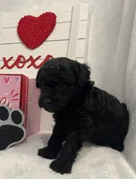 processed/2cc7014c-8d6c-4c9f-9ed2-ed4780794cfe/listing/97916bb4-cf8e-4f9a-9392-d9695f11077a/edb686bd-c934-4a76-bdfc-617274624e79