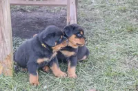 processed/2cceaf64-912c-4cee-b36a-818544b97d8d/facility/41380c2f-311d-43af-b990-8c19f6e40618