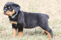 processed/2cceaf64-912c-4cee-b36a-818544b97d8d/facility/6b7d15b1-078a-405c-a3c4-092ceaf60bbb