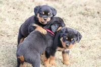 processed/2cceaf64-912c-4cee-b36a-818544b97d8d/facility/cc0ab35c-8b2c-46ed-a516-293cd1e77856