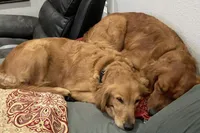 processed/2cd2abca-578d-4849-8a48-41d914a5ad13/facility/8724c733-36f0-4fa1-99c6-1c52f95ac8ab