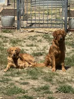 processed/2cd2abca-578d-4849-8a48-41d914a5ad13/facility/905af3e9-12d0-4692-95ab-28d5666c9186