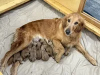 processed/2cd2abca-578d-4849-8a48-41d914a5ad13/facility/a4e2ec9c-9b2b-4bfa-b58f-e155ee49f3b3