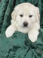 processed/2cd2abca-578d-4849-8a48-41d914a5ad13/listing/325e122c-7591-4455-808c-67ca771cfc6c/edf4a0ab-17d5-49af-8dbb-5c9ab63f6ef2