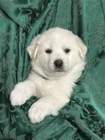 processed/2cd2abca-578d-4849-8a48-41d914a5ad13/listing/4517a8dd-90dd-4900-a58c-10da3018b1ba/3838b8ed-d60f-4046-93b3-e4ad8f63b853