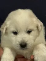 processed/2cd2abca-578d-4849-8a48-41d914a5ad13/listing/4517a8dd-90dd-4900-a58c-10da3018b1ba/6d67f36c-be0b-43c1-91d1-6a8112f8f109