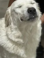 processed/2cd2abca-578d-4849-8a48-41d914a5ad13/listing/9a02f2c7-8c37-49fc-9f06-be6c1934cae4/08af8c3a-cbd3-4cdd-a6c3-dfd59695077b