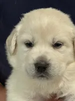 processed/2cd2abca-578d-4849-8a48-41d914a5ad13/listing/9a02f2c7-8c37-49fc-9f06-be6c1934cae4/a27f4458-241e-4499-b11a-3badac3bf3c5