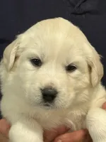 processed/2cd2abca-578d-4849-8a48-41d914a5ad13/listing/c37b54a1-e399-4262-96be-f86a4a32cee0/48ea43f4-df70-4f15-8b90-b718745fc12c