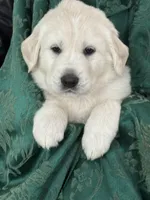 processed/2cd2abca-578d-4849-8a48-41d914a5ad13/listing/ff6bb7d9-195b-4e91-a8f3-7d8bc38eaff2/85067b02-983b-4853-a7e5-b76c3086e2b2