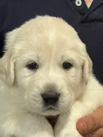 processed/2cd2abca-578d-4849-8a48-41d914a5ad13/listing/ff6bb7d9-195b-4e91-a8f3-7d8bc38eaff2/d0e296af-e7a2-4ab5-9ae8-b80a08b04a6f