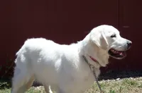 processed/2cdc07b8-fd7e-41f5-9449-1cb818af8d41/listing/b7693c22-62b8-45c1-a573-202b3e078283/2d9134cc-a089-48d7-b020-419105165a99