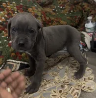 processed/2ce251bd-39d8-4503-a172-4527f132a45d/listing/319b1ac4-d1ee-48ba-a287-406c5a240333/343607fa-59b9-4bfb-9800-31b486baa9c0