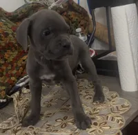 processed/2ce251bd-39d8-4503-a172-4527f132a45d/listing/319b1ac4-d1ee-48ba-a287-406c5a240333/8da10b8b-9799-42de-9ad4-b2ad4fc1f04f