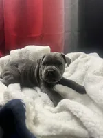 processed/2ce251bd-39d8-4503-a172-4527f132a45d/listing/319b1ac4-d1ee-48ba-a287-406c5a240333/d9a118ac-2d6f-4e5d-8fa8-08f21fbd873d