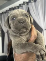 processed/2ce251bd-39d8-4503-a172-4527f132a45d/listing/85099d14-2c1b-4f41-b7b8-8441d6e0042b/0b87aebb-a8c3-41a2-8ac4-3f8f1e8b9641