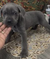 processed/2ce251bd-39d8-4503-a172-4527f132a45d/listing/85099d14-2c1b-4f41-b7b8-8441d6e0042b/df784de5-7fda-49f7-aed6-ed9531d7077f