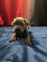 processed/2ce251bd-39d8-4503-a172-4527f132a45d/listing/901e16b9-bff4-40e4-b5d5-f6de7f1c1525/74debe6f-cd74-4272-ae88-a62993d58e35