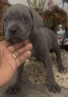 processed/2ce251bd-39d8-4503-a172-4527f132a45d/listing/901e16b9-bff4-40e4-b5d5-f6de7f1c1525/ca9a2261-d157-4e91-927e-337189650719